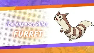 Furret Pokemon Unite Spotlight | Fanmade | Nintendo YouTuber
