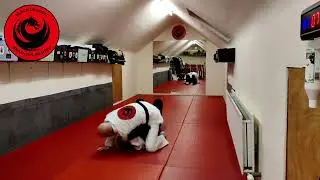 Henry Akin`s Fundamentals - Armbar from The Mount Position (week 3)