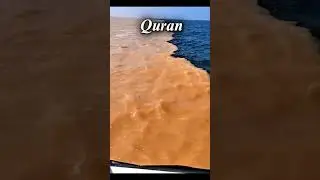 Quran✨Two seas whose water never meets #hadith #quran#muslim #islam #nature #sea #shortsfeed #shorts