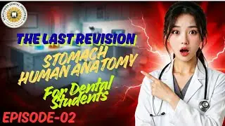 Stomach Anatomy: BDS Exam Hack 🦷 | HUMAN ANATOMY | THE LAST REVISION | EPISODE 2 | SDI