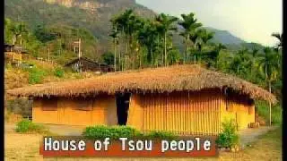 Introduction of Tsou Tribe(真情鄒族 English)
