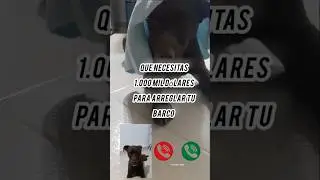 El pirata del caribe #2 #humor #perro #piratasdelcaribe