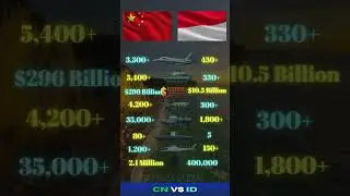 China vs Indonesia Military Power Comparison 2025 | Army, Airforce, Navy & Weapons #china #indonesia