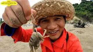 C&aacute;ch &iacute;t người biết để&nbsp;bắt c&ograve;ng gi&oacute; v&agrave; m&oacute;n ngon từ n&oacute;