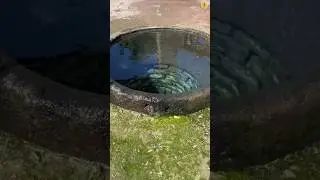 How water comes in well? #shorts