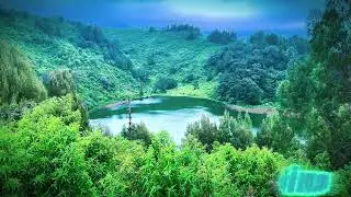 natural sounds of green lake and birdsong for relaxation relieve stress and increase calmness | ASMR