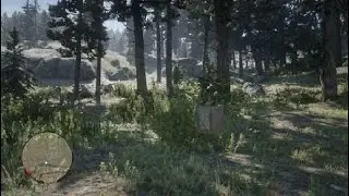 Red Dead Redemption 2 wtf