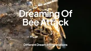 Dreaming of Bee Attack &ndash; Dream Interpretations