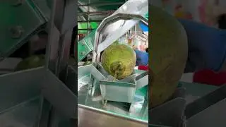 Coconut Cutting Machine Magic &ndash; Fresh Coconut Water Instantly!