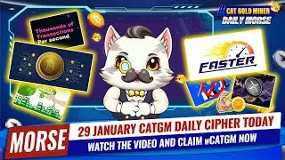 29 January CATGM Daily Cipher Today⚡️CAT GOLD MINER OFFICIAL