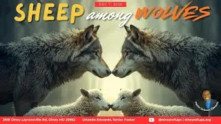 Sheep Among Wolves | Pastor Orlando Edwards