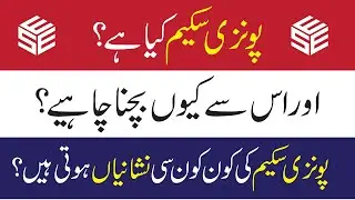 Ponzi Scheme in Pakistan