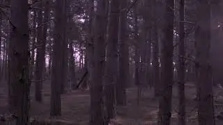 yrrpheus - Realfiktion