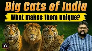 The Majestic Big Cats of India: Key Traits and Behaviour | Environment | UPSC | Drishti IAS English