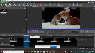TIPS AND TRICKS FOR EDITING WITH VIDEOPAD!! HOW TO CUT OUT CLIPS #HOWTOEDIT #VIDEOPAD #EDITING