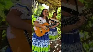 Los Sabanales (cover) - Grupo Las Garzoneñas