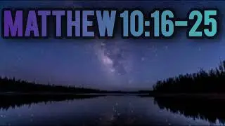 Sheep Among Wolves &ndash; Matthew 10:16&ndash;25
