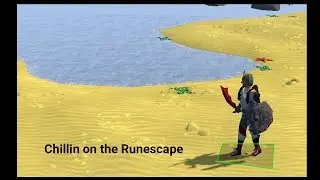 Working on Medium Diaries - Chompy Bird hunting last