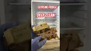 Cleaning a Cockroach- Infested Fridge!
