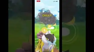 One Pok&eacute;mon to Defeat Team Rocket - Flying Edition