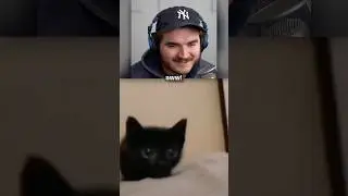 Schlatt Finds Another Wholesome TikTok 🥰