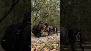 Hiking Adventure With My Dog | Busiek Yellow Trail