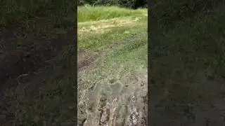 Throwing mud! #yamaha #sidebyside #4x4 #farmstead #comegrowwithus #sogreenfarm #blackfarmers