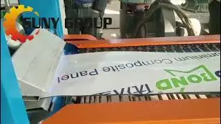ACP Stripper Machine