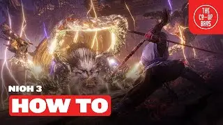 Nioh 3 | How To Play Co-Op