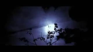 Free Footage Silhouette Of A Werewolf HD (1920x1080) 50p
