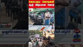 salem  | goat  | sales