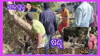 😇ଷଣ୍ଢ ଲଢେଇ କରୁଛନ୍ତି ପାଣି ରେ ଓ ଉଧାର ଚାଲିଛି 💥#youtube #trending #viral #mobile #odisha  #1m #1k 