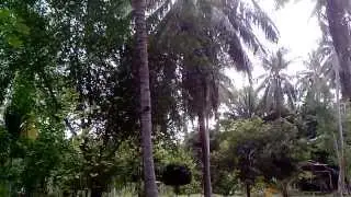 Копия видео Morning Taling Ngam.3gp