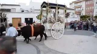 Llegada Iglesia de la Merced de la Virgen de las Viñas