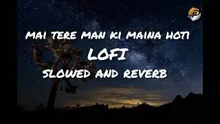 mai tere man ki maina hoti Lofi song 2025 #kajol  #alkayagnik​#kumarsanu​ #video#ajaydevgan