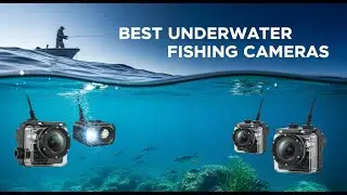 TOP 5 Best Underwater Fishing Cameras 2025