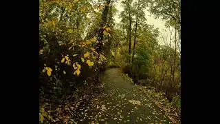 Vittoria Mostro EMTB Tire Wet Test
