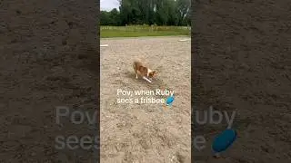 RUBY has a spinning VIRUS
