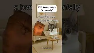 Funny chatgpt catmemes compilation