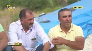 Ay Çekirdeği Yetiştiriciliğindeki Sorunlar ve Geleceği  - TARLA BİTKİLERİ / Çiftçi TV