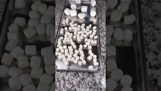 How to make freeze dried marshmallow #foodlover #dehydrated