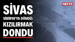 Sivas 