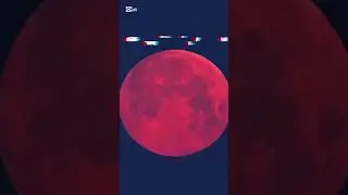 It&rsquo;s so magical! #bloodmoon2025 #bloodmooneclipse #bloodmoonevent #fypシ゚viral