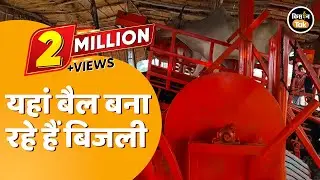 नौकरी छोड़ बैलों से बिजली बना रहा यह पुलिस ऑफिसर | Success Story | Kisan Tak