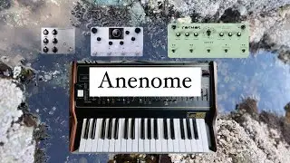 Anenome  [Improv with Arp Axxe, Soma Cosmos, Meris LVX, Fairfield Shallow Water]