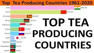Top Tea Producting Countries 1961-2020