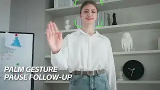 The 