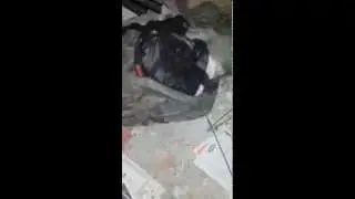 Quick Tour Inside of Bob's Bunker