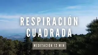 Vuelve a la calma con la Respiración Cuadrada | 12 min | Medita con Baruc