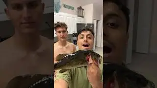 10 Pound Bass